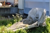 Scandinavia_2011_1575.jpg