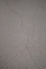 Scandinavia_2011_1639.jpg