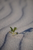 Scandinavia_2011_1674.jpg