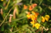 Scandinavia_2011_1684.jpg