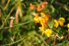 Scandinavia_2011_1685.jpg