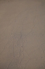 Scandinavia_2011_1701.jpg