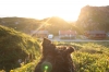 Scandinavia_2011_1734.jpg