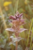 Scandinavia_2011_1759.jpg
