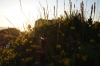 Scandinavia_2011_1764.jpg