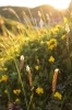 Scandinavia_2011_1786.jpg