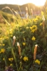 Scandinavia_2011_1787.jpg