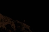 Scandinavia_2011_1799.jpg