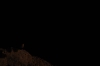 Scandinavia_2011_1800.jpg