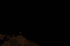Scandinavia_2011_1802.jpg