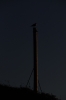 Scandinavia_2011_1803.jpg