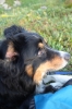Scandinavia_2011_1845.jpg