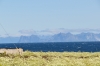Scandinavia_2011_1950.jpg
