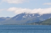 Scandinavia_2011_1980.jpg