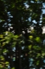 Scandinavia_2011_1994.jpg