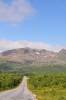 Scandinavia_2011_2024.jpg