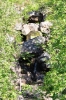 Scandinavia_2011_2046.jpg