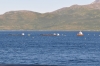 Scandinavia_2011_2071.jpg