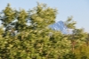 Scandinavia_2011_2094.jpg