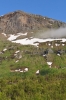 Scandinavia_2011_2132.jpg