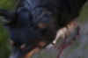 Scandinavia_2011_2310.jpg