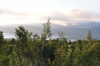 Filename=Scandinavia_2011_2466.jpg
Filesize=487KiB
Dimensions=1000x664
Date added=Aug 05, 2011 Scandinavia_2011_2466.jpg