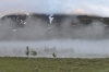Scandinavia_2011_2474.jpg