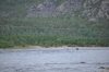 Filename=Scandinavia_2011_2516.jpg
Filesize=626KiB
Dimensions=1000x664
Date added=Aug 05, 2011 Scandinavia_2011_2516.jpg