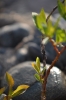 Scandinavia_2011_2534.jpg