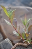 Scandinavia_2011_2535.jpg