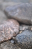 Scandinavia_2011_2538.jpg