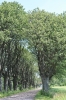 Scandinavia_2011_2661.jpg