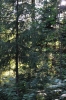 Scandinavia_2011_2664.jpg