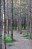 Scandinavia_2011_2665.jpg