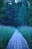 Scandinavia_2011_2675.jpg