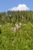 Scandinavia_2011_2681.jpg