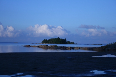 IMG_8543.jpg