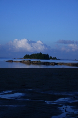 IMG_8545.jpg