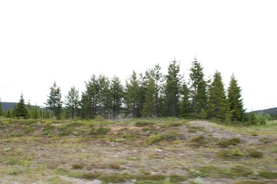 IMG_8588.jpg