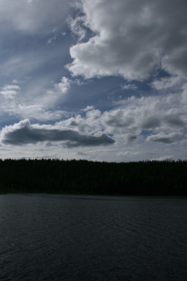 IMG_8595.jpg