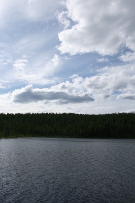 IMG_8596.jpg
