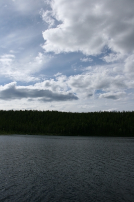 IMG_8598.jpg