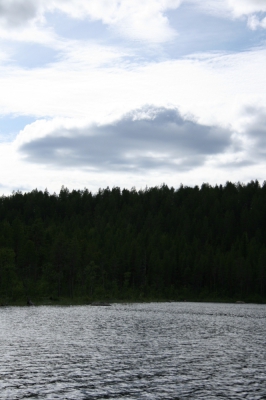 IMG_8603.jpg