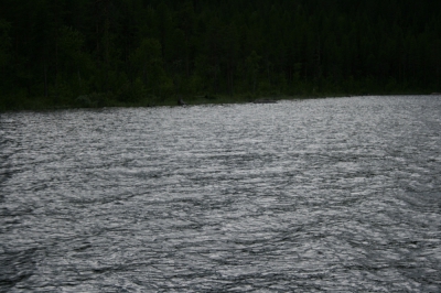 IMG_8605.jpg