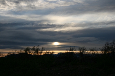 IMG_8607.jpg