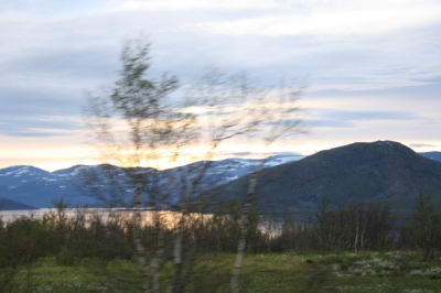 IMG_8611.jpg