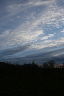 IMG_8623.jpg