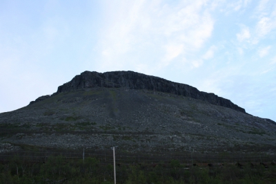 IMG_8633.jpg