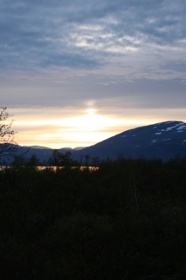 IMG_8636.jpg