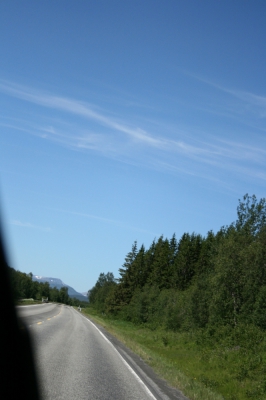 IMG_8638.jpg